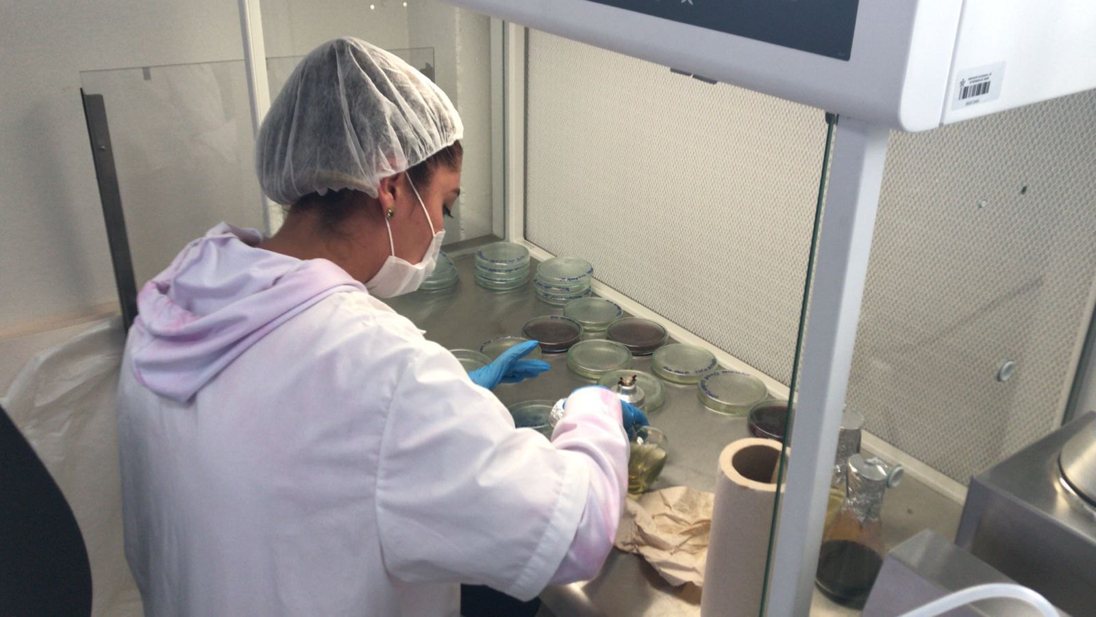 Cannabis lab scientist working at Verde Capital Cannabis lab scientist working